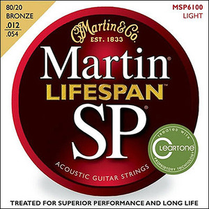 마틴(Martin) SP6100 (012-054)